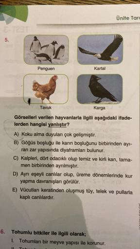 E-T23T
5.
6.
Penguen
Kartal
Ünite Tar
Tavuk
Karga
Görselleri verilen hayvanlarla ilgili aşağıdaki ifade-
lerden hangisi yanlıştır?
A) Koku alma duyuları çok gelişmiştir.
B) Göğüs boşluğu ile karın boşluğunu birbirinden ayı-
ran zar yapısında diyaframları b