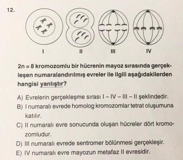 12.
"Bf of
88 88
GO
2n = 8 kromozomlu bir hücrenin mayoz sırasında gerçek-
leşen numaralandırılmış evreler ile ilgili aşağıdakilerden
hangisi yanlıştır?
IV
A) Evrelerin gerçekleşme sırası I-IV-III-II şeklindedir.
B) I numaralı evrede homolog kromozomlar te