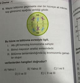 li Üreme - 1
9. Mayoz bölünme geçirmekte olan bir hücreye ait mikros-
kop görünümü aşağıda verildiği gibidir.
& $
X
Bu hücre ve bölünme evresiyle ilgili,
1. Altı çift homolog kromozoma sahiptir.
II. Birinci mayozun anafaz evresindedir.
III. Bölünme tamamlandığında üç kromozomlu gamet-
ler oluşur.
verilenlerden hangileri doğrudur?
A) Yalnız I
of
D) II ve III
B) Yalnız III
C) I ve II
E) I, II ve III
an kromo
kromozor
Kron
40
20
n
Buna
olur
A)
B)
D