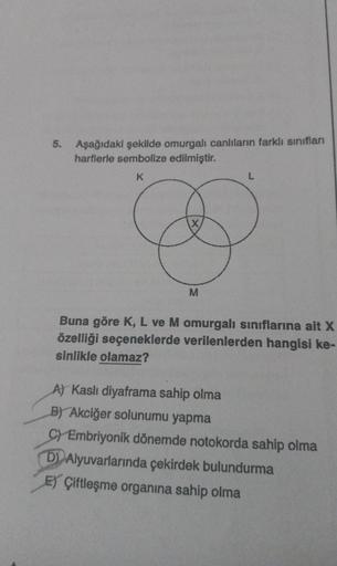 5. Aşağıdaki şekilde omurgalı canlıların farklı sınıfları
harflerle sembolize edilmiştir.
K
X
M
L
Buna göre K, L ve M omurgalı sınıflarına ait X
özelliği seçeneklerde verilenlerden hangisi ke-
sinlikle olamaz?
A) Kaslı diyaframa sahip olma
B) Akciğer solun