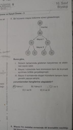 AZANIM 9
AVRAMA
ESTI
ünme ve Eşeyli Üreme - 3
me ait
na hüchler
-ayrılmas
nofaz
enin
deği-
Ölçme, Değerlendirme ve Sınav Hizmetleri Genel Müdürlüğü
MEB
7. Bir hücrenin mayoz bölünme süreci gösterilmiştir.
n
n
A) Yalnız I
n
2n
Interfaz
D) I ve III
2n
Mayoz 