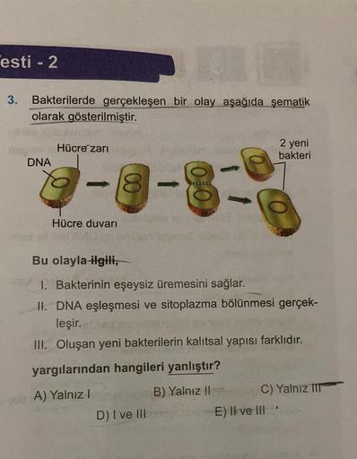 13
3. Bakterilerde gerçekleşen bir olay aşağıda şematik
olarak gösterilmiştir.
esti - 2
DNA
Hücre zarı
18
Hücre duvarı
010)
D) I ve III
Bu olayla ilgili,
1. Bakterinin eşeysiz üremesini sağlar.
II. DNA eşleşmesi ve sitoplazma bölünmesi gerçek-
leşir.
III.