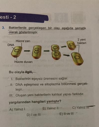 13
3. Bakterilerde gerçekleşen bir olay aşağıda şematik
olarak gösterilmiştir.
esti - 2
DNA
Hücre zarı
18
Hücre duvarı
010)
D) I ve III
Bu olayla ilgili,
1. Bakterinin eşeysiz üremesini sağlar.
II. DNA eşleşmesi ve sitoplazma bölünmesi gerçek-
leşir.
III. 