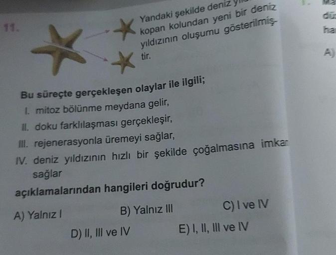 Yandaki şekilde deniz
kopan kolundan yeni bir deniz
yıldızının oluşumu gösterilmiş-
tir.
Bu süreçte gerçekleşen olaylar ile ilgili;
1. mitoz bölünme meydana gelir,
II. doku farklılaşması gerçekleşir,
III. rejenerasyonla üremeyi sağlar,
IV. deniz yıldızının