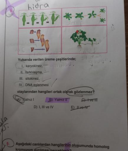 hidra
LEAD ***
Hled
Yukarıda verilen üreme çeşitlerinde; dan
I. karyokinez,
II. farklılaşma,
III. sitokinez,
IV. DNA eşlenmesi
olaylarından hangileri ortak olarak gözlenmez?
A) Yalnız I
B) Yalmız II
C) I ve III
D) I, III ve IV
E) Ilvet
Aşağıdaki canlılarda