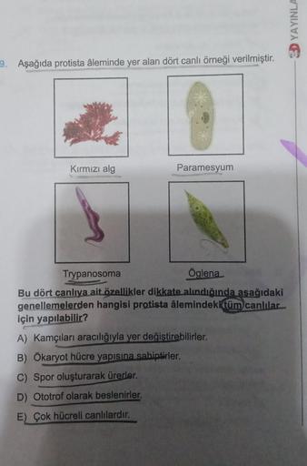 9. Aşağıda protista âleminde yer alan dört canlı örneği verilmiştir.
Kırmızı alg
Paramesyum
Trypanosoma
Öglena
Bu dört canlıya ait özellikler dikkate alındığında aşağıdaki
genellemelerden hangisi protista âlemindeki tüm canlılar
için yapılabilir?
A) Kamçıl