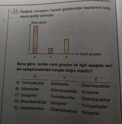 11. Aşağıda omurgasız hayvan gruplarından bazılarının birey
sayısı grafiği verilmiştir.
Birey sayısı
Canlı grupları
X
Y
Z
Buna göre, verilen canlı grupları ile ilgili aşağıda veri-
len eşleştirmelerden hangisi doğru olabilir?
X
A) Yumuşakçalar
B) Sölenterl