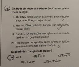 (36. Ökaryot bir hücrede çekirdek DNA'larının eşlen-
mesi ile ilgili;
1. Bir DNA molekülünün eşlenmesi sırasında çok
sayıda replikasyon orjini oluşur.
II. Her bir DNA molekülü kendini yarı korunumlu
olarak eşler.
III. Farklı DNA moleküllerinin eşlenmesi sırasında
farklı enzim çeşitleri kullanılır.
IV. Replikasyon olayından sonra kromatin iplikler
zamanla kromozom haline dönüşür. X
bilgilerinden hangileri doğrudur?
A) I ve II
-B) II ve III
D) I, II ve IV
C)III ve IV
E) H, Il ve IV