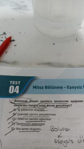 TEST
04
Mitoz Bölünme - Eşeysiz
Bölünerek üreyen canlıların tamamında aşağıdaki
olaylardan hangisi ortak olarak gerçekleşir?
Ağ ipliklerinin oluşumu
BY Çekirdek zarının parçalanması
CY DNA'nın kendini eşlemesi
DY Sentrozom eşlenmesi
E Ara lamel oluşumu
Bol