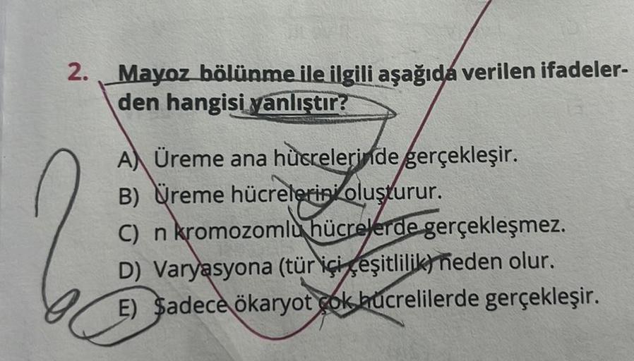 2.
Mayoz bölünme ile ilgili aşağıda verilen ifadeler-
den hangisi yanlıştır?
A Üreme ana hücrelerinde gerçekleşir.
B) Üreme hücrelerini oluşturur.
C) n kromozomlu hücrelerde gerçekleşmez.
D) Varyasyona (tür içi çeşitlilik neden olur.
E) Sadece ökaryot cok 