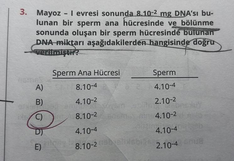 3. Mayoz - I evresi sonunda 8.10-2 mg DNA'sı bu-
lunan bir sperm ana hücresinde ve bölünme
sonunda oluşan bir sperm hücresinde bulunan
DNA miktarı aşağıdakilerden hangisinde doğru
verilmiştir?
Sperm Ana Hücresi
8.10-4
4.10-2
8.10-²
4.10-4
8.10-2h phalabig
