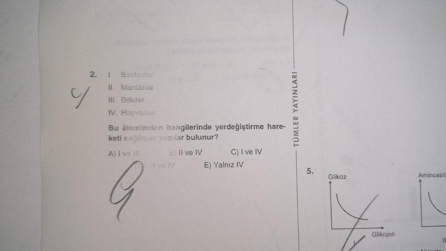 N
2.
Y
1. Bakteriler
II. Mantarlar
III. Bitkiler
IV. Hayvanlar
Bu âlemlerden hangilerinde yerdeğiştirme hare-
keti sağlayan yapılar bulunur?
A) I ve III
G
B) II ve IV
I ve IV
C) I ve IV
E) Yalnız IV
TÜMLER YAYINLARI
5.
Glikoz
Glikojen
Aminoasit
||