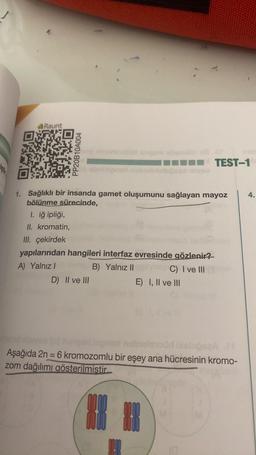 Raunt
PP20B10A004
en vergee
1. Sağlıklı bir insanda gamet oluşumunu sağlayan mayoz
bölünme sürecinde,
1. iğ ipliği,
II. kromatin,
III. çekirdek
yapılarından hangileri interfaz evresinde gözlenir?
A) Yalnız I
B) Yalnız II
C) I ve III
D) II ve III
TEST-1
E) I, II ve III
Aşağıda 2n = 6 kromozomlu bir eşey ana hücresinin kromo-
zom dağılımı gösterilmistir.
4.