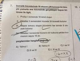 7.
Somatik hücrelerinde 16 otozom çifti bulunan bir bire-
yin yumurta ana hücresinde gerçekleşen mayoz bö-
lünme ile ilgili,
1. Profaz I evresinde 16 tetrat oluşur.
II. Metafaz Il evresindeki hücrede 34 kromatit bulunur.
III. Mayoz sonucu oluşan hücrelerin her birinde 8 oto-
zom bulunur.
Metafaz I evresinde hücrenin bir kutbuna çekilen kro-
mozom sayısı 16 dır.
yargılarından hangileri doğrudur?
A) Yalnız I
D) Il ve IV
g
B) Yalnız II
E) I, III ve IV
C) I ve IV
16+XX
2+8
10. E
8+x