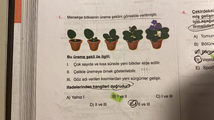 1. Menekşe bitkisinin üreme şeklini görselde verilmiştir.
it***
Bu üreme şekli ile ilgili;
1. Çok sayıda ve kısa sürede yeni bitkiler elde edilir.
II. Çelikle üremeye örnek gösterilebilir. lice
III. Göz adı verilen kısımlardan yeni sürgünler gelişir.
ifade