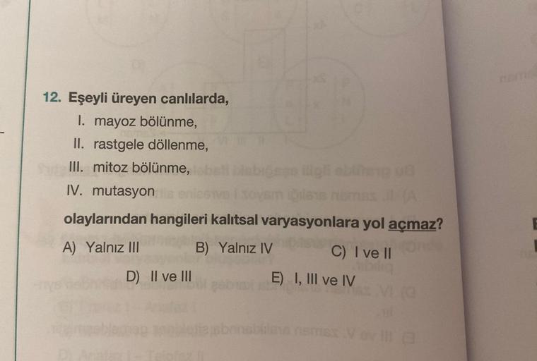 12. Eşeyli üreyen canlılarda,
1. mayoz bölünme,
II. rastgele döllenme,
III. mitoz bölünme,
IV. mutasyon is eniesive
olaylarından hangileri kalıtsal
A) Yalnız III
B) Yalnız IV
D) II ve III
Bigli oblitsig ud
varyasyonlara yol açmaz?
C) I ve II
E) I, III ve I