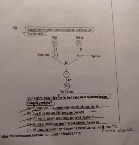 60.
Eşeyli üreme genel olarak aşağıdaki şekildeki gibi
ozellenebilir.
Dişi
2n
Yumurta n
111
(2n
IV
Erkek
(2n
n
11
Sperm
2n
Yeni birey
Buna göre, aşeyli üreme ile ilgili aşağıdaki açıklamalardan
hangisi yanlıştır?
A) oogenez, II. spermatogenez olarak tanıml