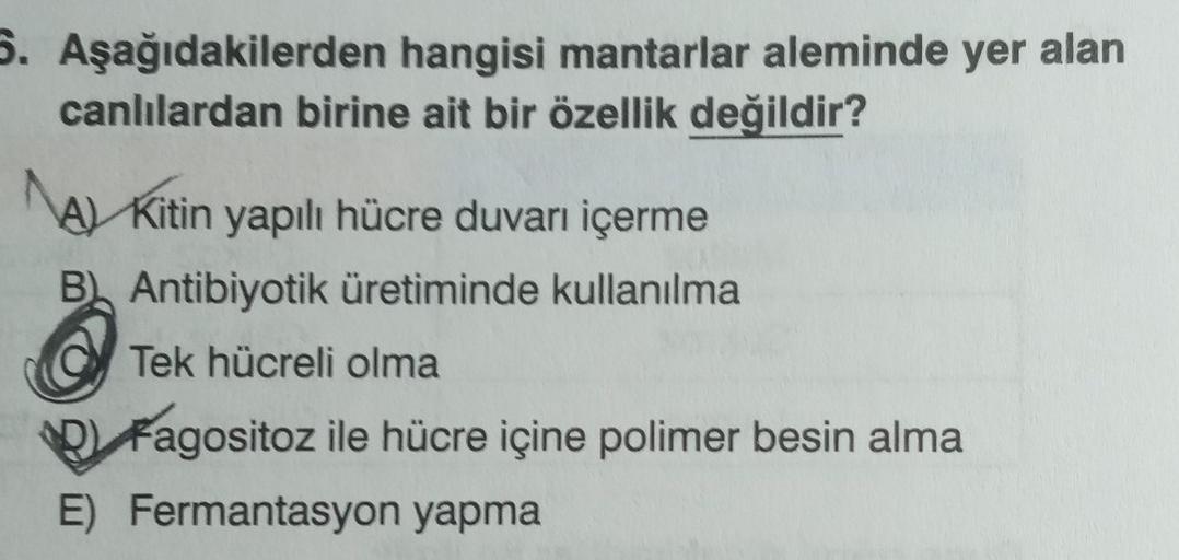 5. Aşağıdakilerden hangisi mantarlar aleminde yer alan
canlılardan birine ait bir özellik değildir?
A) Kitin yapılı hücre duvarı içerme
B) Antibiyotik üretiminde kullanılma
Tek hücreli olma
D) Fagositoz ile hücre içine polimer besin alma
E) Fermantasyon ya