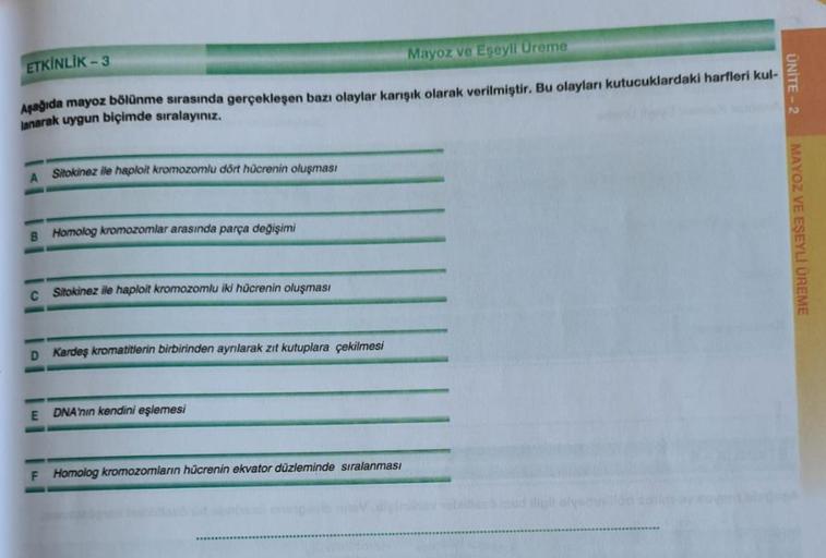 ETKİNLİK-3
Mayoz ve Eşeyli Ureme
Aşağıda mayoz bölünme sırasında gerçekleşen bazı olaylar karışık olarak verilmiştir. Bu olayları kutucuklardaki harfleri kul-
lanarak uygun biçimde sıralayınız.
A Sitokinez ile haploit kromozomlu dört hücrenin oluşması
B Ho