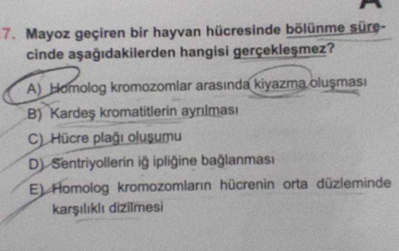 7. Mayoz geçiren bir hayvan hücresinde bölünme süre-
cinde aşağıdakilerden hangisi gerçekleşmez?
A) Homolog
A) Homolog
B) Kardeş kromatitlerin ayrılması
C) Hücre plağı oluşumu
D) Sentriyollerin iğ ipliğine bağlanması
E) Homolog kromozomların hücrenin orta