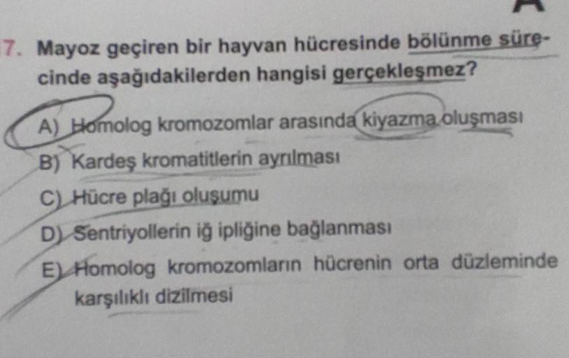 7. Mayoz geçiren bir hayvan hücresinde bölünme süre-
cinde aşağıdakilerden hangisi gerçekleşmez?
A) Homolog
A) Homolog
B) Kardeş kromatitlerin ayrılması
C) Hücre plağı oluşumu
D) Sentriyollerin iğ ipliğine bağlanması
E) Homolog kromozomların hücrenin orta 