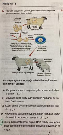 ÖĞRETEN TEST-4
6. Genetik kopyalama yoluyla, yeni bir kuzunun meydana
getirilişi şekilde gösterilmiştir.
BA
1. koyundan
alınan hücre
Çoğaltma
Çekirdek atılır
Meme
hücresi
"
Çekirdek
aşılanır
1. koyun
Genetik
bilgiyi
veren koyun
Diploit
yumurta
3. koyun
Baş