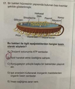 17. Bir bakteri hücresinin yapısında bulunan bazı kısımlar
şekilde gösterilmiştir.
Glikojen
Halkasal
DNA
Sitoplazma
Plazmit
Kamçı
Ribozom
4
00000
36 MONTONE 201
Pilus
Hücre zarı Hücre duvarı
A) Oksijenli solunumla ATP sentezler.
BAK
B) Aktif hareket etme özelliğine sahiptir.
Bu bakteri ile ilgili aşağıdakilerden hangisi kesin
olarak söylenir?
C) Konjugasyon yoluyla başka bir bakteriden plazmit
alır.
D) Işık enerjisini kullanarak inorganik maddelerden
organik besin sentezler.
E) İnsan sağlığına zarar verir.