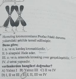 b
XX
C₂
Homolog kromozomların Profaz I'deki durumu
yukarıdaki şekilde temsil edilmiştir.
Buna göre;
I. a₁ ve aż kardeş kromatitlerdir.
II. b sinapsisi ifade eder.
III. c₁ ve a₂ arasında krossing over gerçekleşebilir.
IV. d tetrat yapısıdır. \\
verilenlerden hangileri doğrudur?
A) Yalnız I B) Yalnız III C) II ve IV
D) I, II ve IIIE) I, II, III ve IV
L