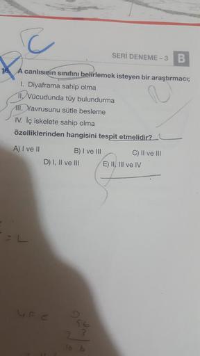 c
SERİ DENEME-3 B
A canlısının sınıfını belirlemek isteyen bir araştırmacı;
1. Diyaframa sahip olma
II, Vücudunda tüy bulundurma
11. Yavrusunu sütle besleme
IV. İç iskelete sahip olma
özelliklerinden hangisini tespit etmelidir?
A) I ve II
=L
B) I ve III
D)