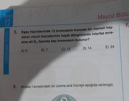 Test
12
OĞRENME TESTİ
Mayoz Bölü
5. Eşey hücrelerinde 12 kromozom bulunan bir memeli hay-
vanın vücut hücrelerinin hayat döngüsünün interfaz evre-
sine ait G, fazında kaç kromozom bulunur?
A) 6
B) 7
C) 12
D) 14
E) 24
6. Anafaz I evresindeki bir üreme ana hücresi aşağıda verilmiştir.
7.