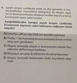 9. Eşeyli üreyen canlılarda erkek ve dişi gametler n kro-
mozomludur. Gametlerin birleşmesi ile oluşan zigot
ise 2n kromozomludur. Böylece nesiller boyunca tür içi
kromozom sayısı sabit tutulur.
Aşağıdakilerden hangisi eşeyli üreyen canlılarda
kromozom sayısının sabit kalmasını sağlayan temel
olaydır?
A) Interfaz safhasında DNA'nın kendini eşlemesi
B) Profaz 1'de homolog kromozomlarda tetrat ve kros-
sing over görülmesi
C) Mayoz sonunda oluşan n kromozomlu üreme hüc-
relerinin döllenmeye katılması
D) Mayozun art arda iki bölünme ile tamamlanması
E) Mayoz sonunda birbirinden farklı hücrelerin oluş-
masi