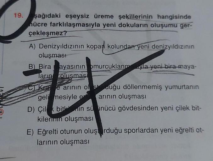 19. şağıdaki eşeysiz üreme şekillerinin hangisinde
hücre farklılaşmasıyla yeni dokuların oluşumu ger-
çekleşmez?
A) Denizyıldızının kopan kolundan yeni denizyıldızının
oluşması
B) Bira a
ayasının omurcuklanmyla yeni bira maya-
Tarın olusması
C) Kae arinin