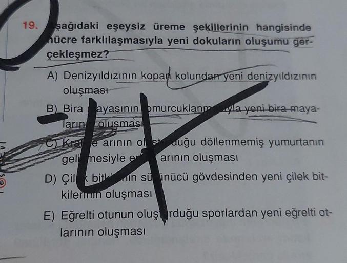 19. şağıdaki eşeysiz üreme şekillerinin hangisinde
hücre farklılaşmasıyla yeni dokuların oluşumu ger-
çekleşmez?
A) Denizyıldızının kopan kolundan yeni denizyıldızının
oluşması
B) Bira a
ayasının omurcuklanmyla yeni bira maya-
Tarın olusması
C) Kae arinin 