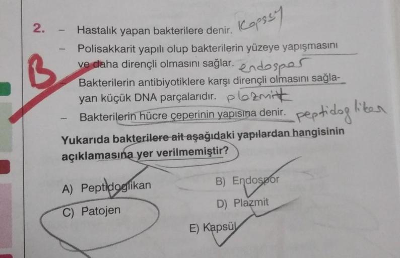 2.
B
1
Hastalık yapan bakterilere denir.
Kopsey
Polisakkarit yapılı olup bakterilerin yüzeye yapışmasını
ve daha dirençli olmasını sağlar. endosper
Bakterilerin antibiyotiklere karşı dirençli olmasını sağla-
yan küçük DNA parçalarıdır. pmitt
Bakterilerin h