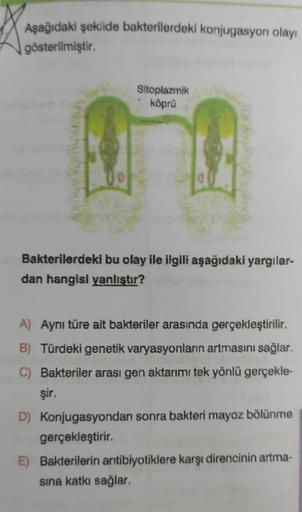 Aşağıdaki şekilde bakterilerdeki konjugasyon olayı
gösterilmiştir.
To
Sitoplazmik
köprü
Bakterilerdeki bu olay ile ilgili aşağıdaki yargılar-
dan hangisi yanlıştır?
A) Aynı türe ait bakteriler arasında gerçekleştirilir.
B) Türdeki genetik varyasyonların ar