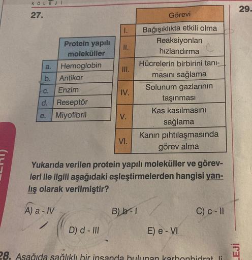 KOLEJI
27.
a.
Protein yapılı
moleküller
Hemoglobin
Antikor
C.
Enzim
d. Reseptör
e.
Miyofibril
b.
D) d - III
I.
28. Asağıda sağlıklı bir
II.
III.
IV.
V.
VI.
Görevi
B) b-1
Bağışıklıkta etkili olma
Reaksiyonları
hızlandırma
Hücrelerin birbirini tanı-
masını s