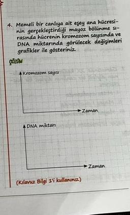 4. Memeli bir canlıya ait eşey ana hücresi-
nin gerçekleştirdiği mayoz bölünme si-
rasında hücrenin kromozom sayısında ve
DNA miktarında görülecek değişimleri
grafikler ile gösteriniz.
ÇÖZÜM
Kromozom sayısı
DNA miktarı
(Kılavuz Bilgi 1'i kullanınız.)
Zaman
Zaman