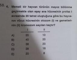 38.
4. Memell bir hayvan türünün mayoz bölünme
geçirmekte olan eşey ana hücresinin profaz I
evresinde 20 tetrat oluştuğuna göre bu hayva-
nın vücut hücresinin otozom (1) ve gametleri-
nin (II) kromozom sayıları kaçtır?
11
A)
B)
20
40
38
38
20
10
20
20
18
8