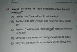 18. Mayoz bölünme ile ilgili aşağıdakilerden hangisi
yanlıştır?
A) Profaz I'de DNA miktarı iki katı haldedir.
B) Anafaz Il'de DNA miktarı ana hücrenin yarısı kadar-
dır.
C) Anafaz l'de homolog kromozomlar karşılıklı kutupla-
ra çekilir.
D) Metafaz Il'de kromozomlar tek sıra halinde dizilir.
E) Mayoz I sonucunda kromozom sayısı yarıya iner.