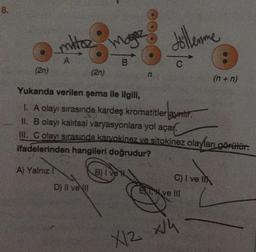 8.
mitoz
A
A) Yalnız I
B
(2n)
(2n)
Yukarıda verilen şema ile ilgili,
I. A olayı sırasında kardeş kromatitler aynır.
II. B olayı kalıtsal varyasyonlara yol açar.
III. C olayı sırasında karyokinez ve sitokinez olayları görülür.
ifadelerinden hangileri doğrudur?
D) Il ve Il
B) I ve H
Jöllenme
n
C) I ve Il
EXT ve III
X/4
X/2 x14
(n+n)