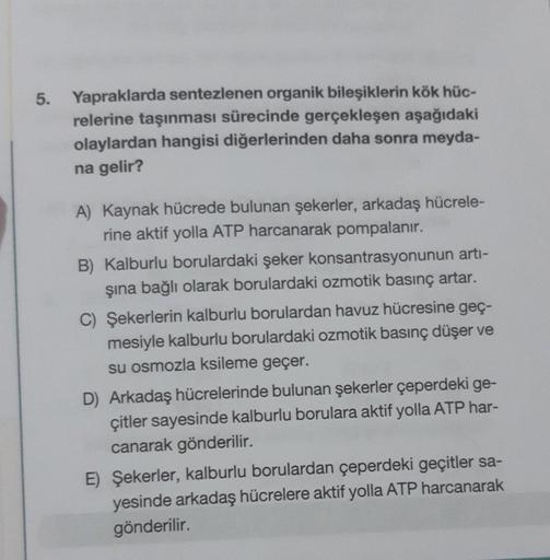 5. Yapraklarda sentezlenen organik bileşiklerin kök hüc-
relerine taşınması sürecinde gerçekleşen aşağıdaki
olaylardan hangisi diğerlerinden daha sonra meyda-
na gelir?
A) Kaynak hücrede bulunan şekerler, arkadaş hücrele-
rine aktif yolla ATP harcanarak po