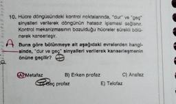 10. Hücre döngüsündeki kontrol noktalarında, "dur" ve "geç"
sinyalleri verilerek döngünün hatasız işlemesi sağlanır.
Kontrol mekanizmasının bozulduğu hücreler sürekli bölü-
nerek kanserleşir.
A Buna göre bölünmeye ait aşağıdaki evrelerden hangi-
-sinde, "dur ve geç" sinyalleri verilerek kanserleşmenin
önüne geçilir?
AMetafaz
B) Erken profaz
Geç profaz
C) Anafaz
E) Telofaz