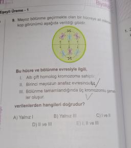 Eşeyli Üreme - 1
B
9. Mayoz bölünme geçirmekte olan bir hücreye ait mikros
kop görünümü aşağıda verildiği gibidir.
Bu hücre ve bölünme evresiyle ilgili,
I. Altı çift homolog kromozoma sahiptir.
II. Birinci mayozun anafaz evresindedit
III. Bölünme tamamlandığında üç kromozomlu gamet-
ler oluşur.
verilenlerden hangileri doğrudur?
A) Yalnız I
Biyoloji
D) II ve III
B) Yalnız III
C) I ve II
E) I, II ve III
1. 2