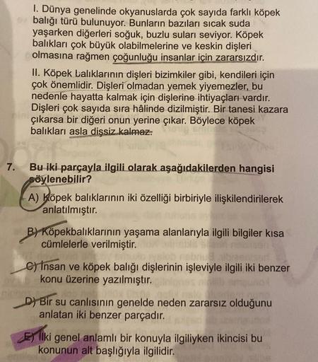 I. Dünya genelinde okyanuslarda çok sayıda farklı köpek
balığı türü bulunuyor. Bunların bazıları sıcak suda
yaşarken diğerleri soğuk, buzlu suları seviyor. Köpek
balıkları çok büyük olabilmelerine ve keskin dişleri
olmasına rağmen çoğunluğu insanlar için z