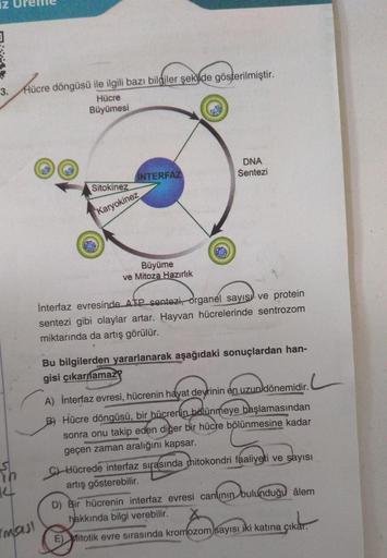 iz
3. Hücre döngüsü ile ilgili bazı bilgiler şekilde gösterilmiştir.
Hücre
Büyümesi
14
masi
9
Sitokinez
Karyokinez
INTERFAZ
Büyüme
ve Mitoza Hazırlık
DNA
Sentezi
İnterfaz evresinde ATP sentezi, organel sayısı ve protein
sentezi gibi olaylar artar. Hayvan h