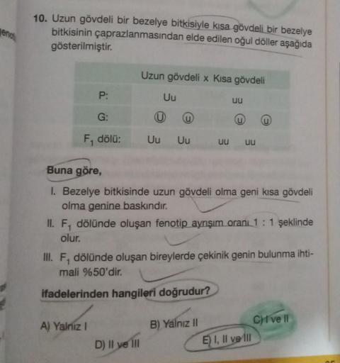 genot
10. Uzun gövdeli bir bezelye bitkisiyle kısa gövdeli bir bezelye
çaprazlanmasından elde edilen oğul döller aşağıda
bitkisinin
gösterilmiştir.
P:
G:
F₁ dölü:
Uzun gövdeli x Kısa gövdeli
Uu
A) Yalnız I
Uu Uu
D) II ve III
uu
Buna göre,
1. Bezelye bitkis