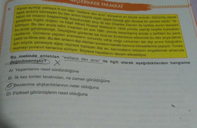 5.
NDIREN PARAGRAF
Kanat açıklığı yaklaşık 6 cm olan "wallace dev arısı" dünyanın en büyük arısıdır. Görünüş olarak
eşek arısına benzeyen bu dev arının büyük siyah geyik böceği gibi devasa bir çenesi vardır. Ye-
geliştiren Ingiliz doğacı ve kâşif Alfred Ru