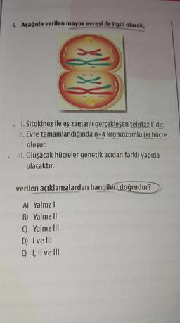 5. Aşağıda verilen mayoz evresi ile ilgili olarak,
1. Sitokinez ile eş zamanlı gerçekleşen telofaz l' dir.
II. Evre tamamlandığında n-4 kromozomlu iki hücre
oluşur.
III. Oluşacak hücreler genetik açıdan farklı yapıda
olacaktır.
verilen açıklamalardan hangileri doğrudur?
A) Yalnız I
B) Yalnız II
(Yalnız III
D) I ve III
E) I, II ve Ill