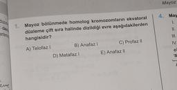 dec
eril
eve
1. Mayoz bölünmede homolog kromozomların ekvatoral
düzleme çift sıra halinde dizildiği evre aşağıdakilerden
hangisidir?
A) Telofazl
B) Anafaz I
D) Metafaz I
C) Profaz II
E) Anafaz II
Mayoz
4. May
1.
11.
III.
IV.
ol