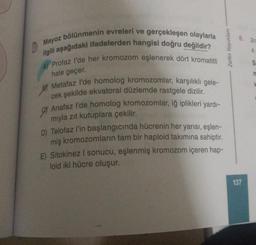 Mayoz bölünmenin evreleri ve gerçekleşen olaylarla
ilgili aşağıdaki ifadelerden hangisi doğru değildir?
Profaz l'de her kromozom eşlenerek dört kromatitli
hale geçer.
BT
Metafaz l'de homolog kromozomlar, karşılıklı gele-
cek şekilde ekvatoral düzlemde rastgele dizilir.
Anafaz l'de homolog kromozomlar, iğ iplikleri yardı-
mıyla zıt kutuplara çekilir.
gr
D) Telofaz l'in başlangıcında hücrenin her yarısı, eşlen-
miş kromozomların tam bir haploid takımına sahiptir.
E) Sitokinez I sonucu, eşlenmiş kromozom içeren hap-
loid iki hücre oluşur.
Zafer Yayınları
8. 2n
4
137
S